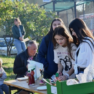 ziemniak-prochowice-fot-zjak81.JPG