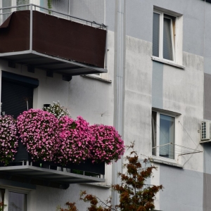 inwestycja-komunalna-polko-fot-zjak42.JPG