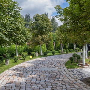 palac-ciechanowice-fot-ewajak012.JPG