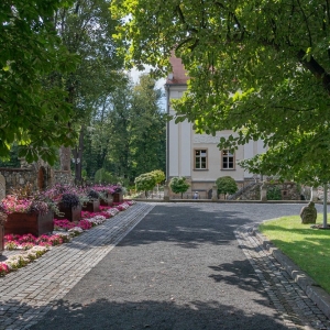 palac-ciechanowice-fot-ewajak019.JPG