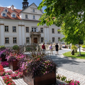 palac-ciechanowice-fot-ewajak020.JPG
