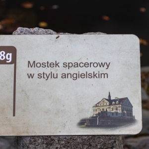 palac-ciechanowice-fot-ewajak030.JPG