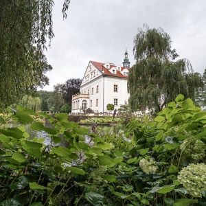 palac-ciechanowice-fot-ewajak116.JPG