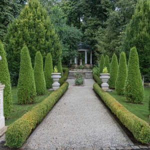 palac-ciechanowice-fot-ewajak131.JPG