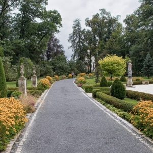 palac-ciechanowice-fot-ewajak132.JPG