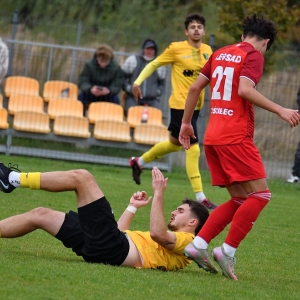 legsad-gornik-fot-ewajak126.JPG