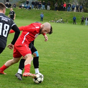 mecinka-jawor-fot-ewajak007.JPG