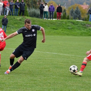 mecinka-jawor-fot-ewajak021.JPG
