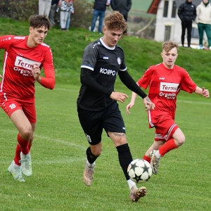 mecinka-jawor-fot-ewajak052.JPG