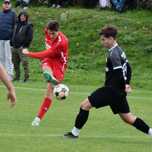 mecinka-jawor-fot-ewajak092.JPG