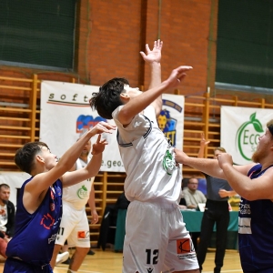 basket-klodzko-fot-ewajak018.JPG