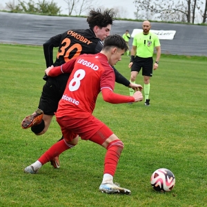 legsad-chrobry2-pp-fot-ewajak049.JPG