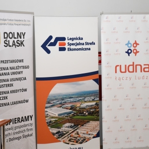 strefa-biznesu-rudna-fot-zjak47.JPG