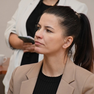 strefa-biznesu-rudna-fot-zjak60.JPG