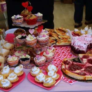 walentynki-schronisko-fot-UM0160 (5).jpg