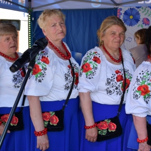 festiwal-folkor-proch-fot-ewajak161.jpg