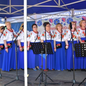 festiwal-folkor-proch-fot-ewajak166.jpg