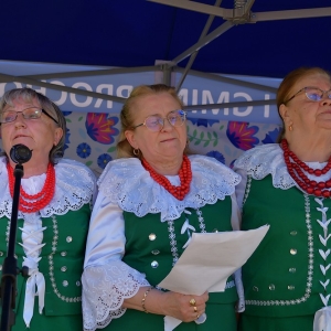 festiwal-folkor-proch-fot-ewajak209.jpg