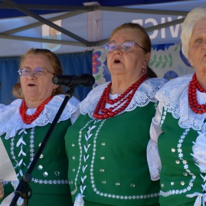 festiwal-folkor-proch-fot-ewajak216.jpg
