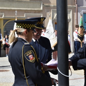 majowka-polkowice-fot-tj15.jpg