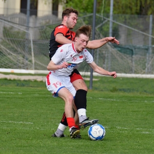 kochlice-grebicice-fot-ewajak004.jpg