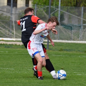 kochlice-grebicice-fot-ewajak005.jpg