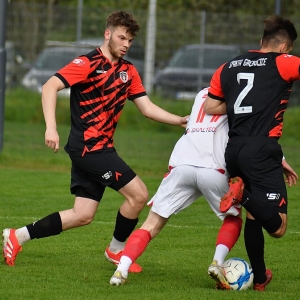 kochlice-grebicice-fot-ewajak022.jpg