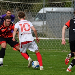 kochlice-grebicice-fot-ewajak030.jpg