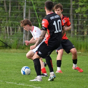 kochlice-grebicice-fot-ewajak041.jpg