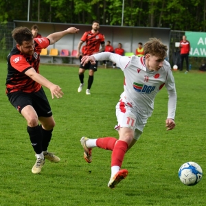 kochlice-grebicice-fot-ewajak047.jpg