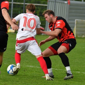 kochlice-grebicice-fot-ewajak048.jpg