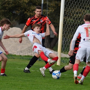 kochlice-grebicice-fot-ewajak051.jpg