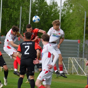 kochlice-grebicice-fot-ewajak055.jpg