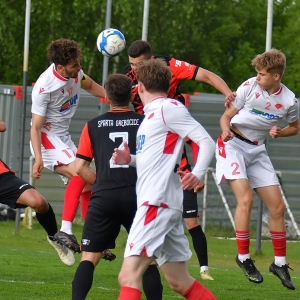 kochlice-grebicice-fot-ewajak056.jpg