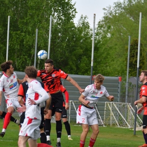 kochlice-grebicice-fot-ewajak057.jpg