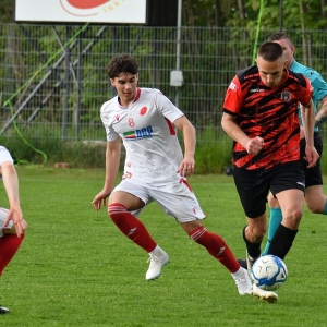 kochlice-grebicice-fot-ewajak063.jpg