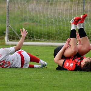 kochlice-grebicice-fot-ewajak091.jpg