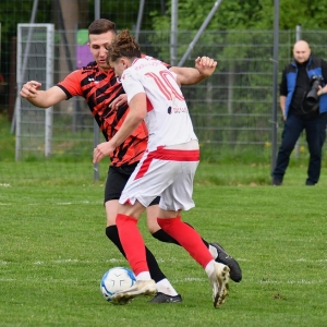 kochlice-grebicice-fot-ewajak112.jpg