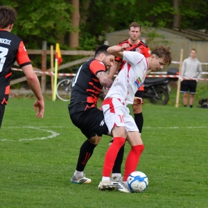 kochlice-grebicice-fot-ewajak119.jpg