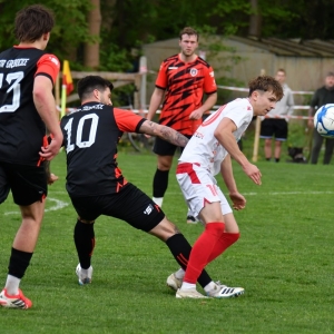 kochlice-grebicice-fot-ewajak121.jpg