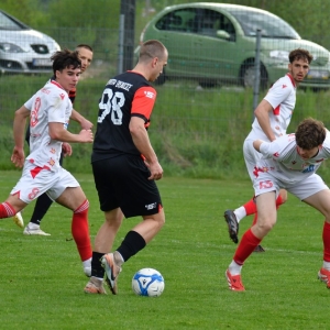 kochlice-grebicice-fot-ewajak124.jpg