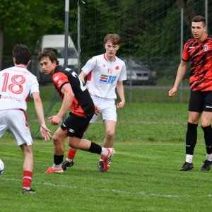 kochlice-grebicice-fot-ewajak135.jpg