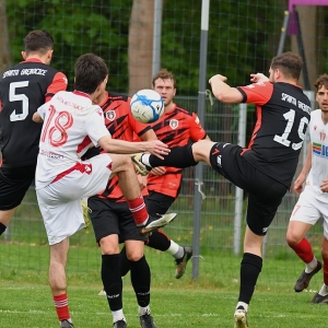 kochlice-grebicice-fot-ewajak137.jpg