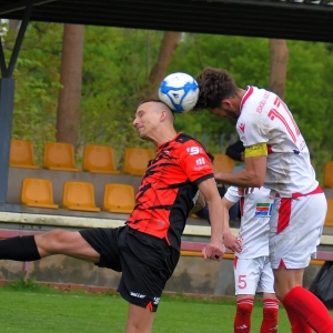 kochlice-grebicice-fot-ewajak143.jpg