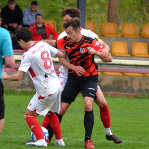 kochlice-grebicice-fot-ewajak147.jpg