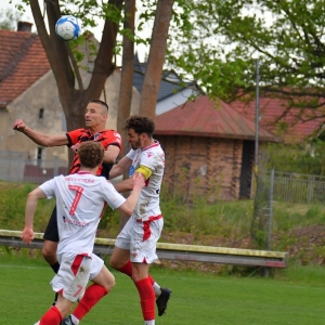 kochlice-grebicice-fot-ewajak152.jpg