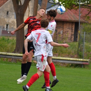 kochlice-grebicice-fot-ewajak153.jpg