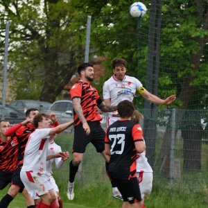 kochlice-grebicice-fot-ewajak173.jpg
