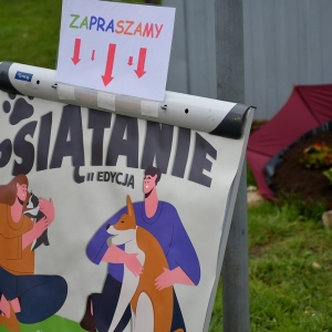 psie-sprzatanie-fot-zjak20.jpg