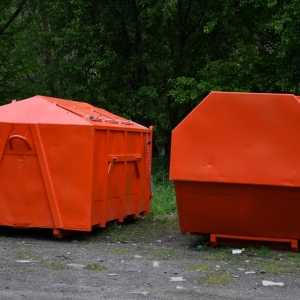 psie-sprzatanie-fot-zjak64.jpg